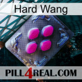 Hard Wang 02